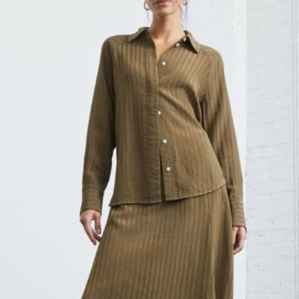 Everlane The City Stripe Button Down Shirt